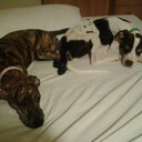 gemma davison - @tog88 - Twitter