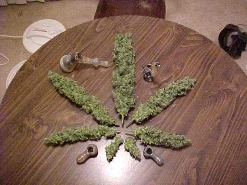 _High_life_420's profile picture. Tweeting™ what goes on in a REAL stoners eyes #baked #stoned #faded #gone