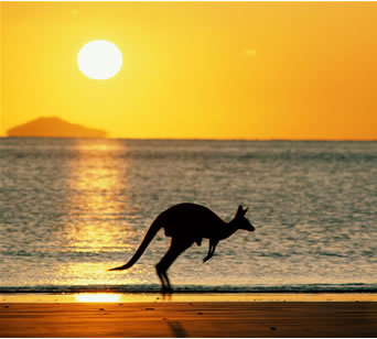 Australia. Fair? We all deserve compassion, tolerance, prosperity, equality and a sustainable future.