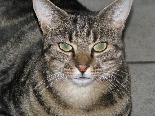 jaynewillcocks's profile picture. 