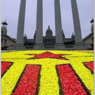 Catala_empipat's profile picture. Egarenc. ADE. Independentista. Animalista. Empordà i muntanya. Mai oblidaré el 1O.
Català, castellà i anglés.