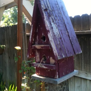 Wdldshopper's profile picture. 