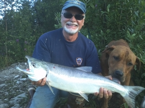 nugentf's profile picture. Director