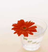 mr_mr16's profile picture. 