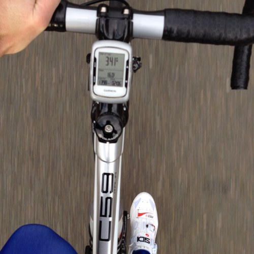 Rich_Younger's profile picture. 