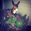 Alexa Brady - @alexamsw - Twitter