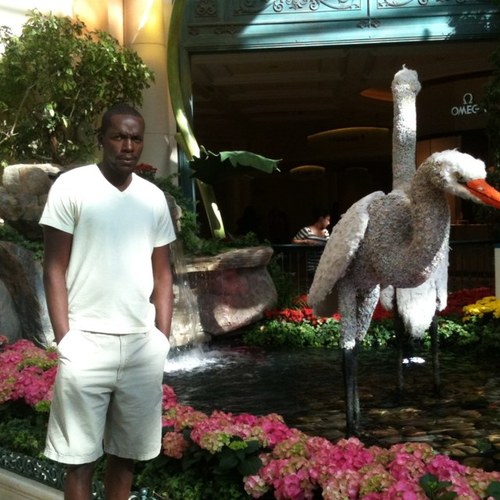 Xolanga's profile picture. Working to become the best.