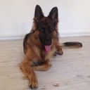 Tim Menke - @tim225m - Twitter