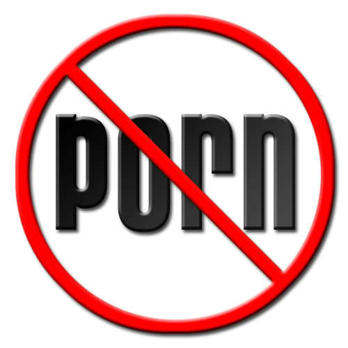 Porn does provide the illusion of pleasure; however, the aftermath leads to a lifestyle that is preoccupied to cover up the traces of insecurities as a result o