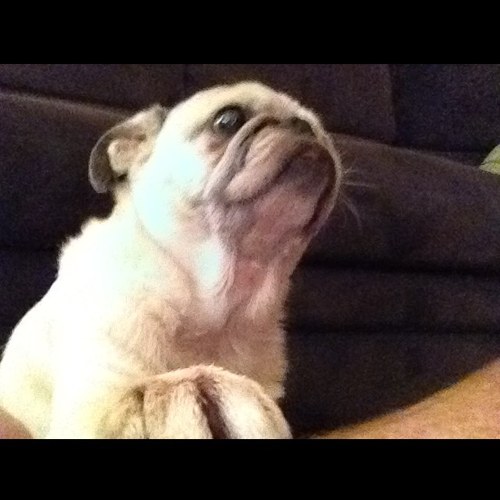 stokermania's profile picture. I'm still learning...