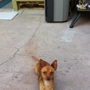 mike hang - @mikehang2003 - Twitter