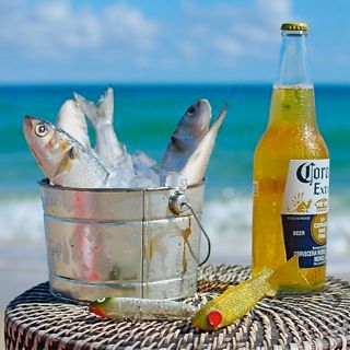 Im So Salt Life All I do is Tweet About How Salt Life I am