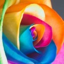 Jill Hardman - @jillart52 - Twitter