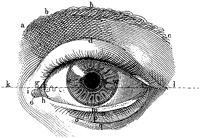 ArcataEye's profile picture. The Mildly Objectionable Weekly Newspaper for Arcata, Calif.