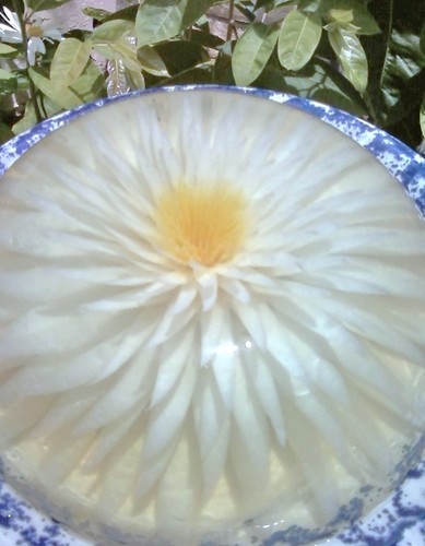 I am a College student and I elaborate this beautiful and edible Artistic Floral Gelatin that you can take to any casual or Special Event.