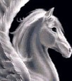 netware67's profile picture. The sky is very high,so it seems blue,I am missing somebody,that seems you.