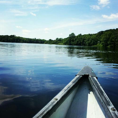 Hafiz_Azher's profile picture. 