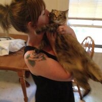 Colleen (@meanbeanie) 's Twitter Profile