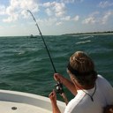 Bill Whittaker - @baycove1 - Twitter