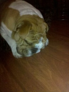 Johnkat2's profile picture. everything is amazing about me