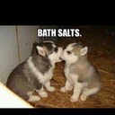 Anne DiMaio - @AnneDiMaio - Twitter