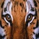 Jacquelyn Eaton - @zachary_Jacque - Twitter