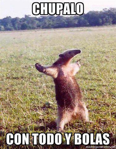 MegaPopi's profile picture. 