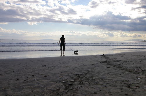 orangetailstar's profile picture. 何かモノを作り、何かイラストを描いて表現をしています。ある時はばななさん、ある時はプレッツェルさん、ある時はとりけらとぷすさん。