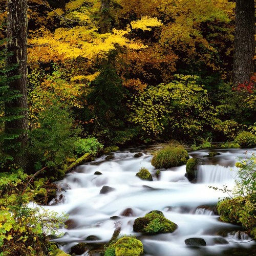 sezgin_levent's profile picture. 