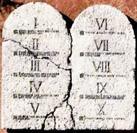 TenTerms's profile picture. Someone following this in today's world?