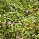 Vicky Skinner - @VickySkinner3 - Twitter