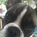 Wilfred Hansen - @wilfredhansen - Twitter