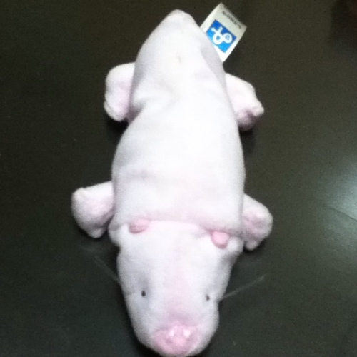 ikuko0930's profile picture. 