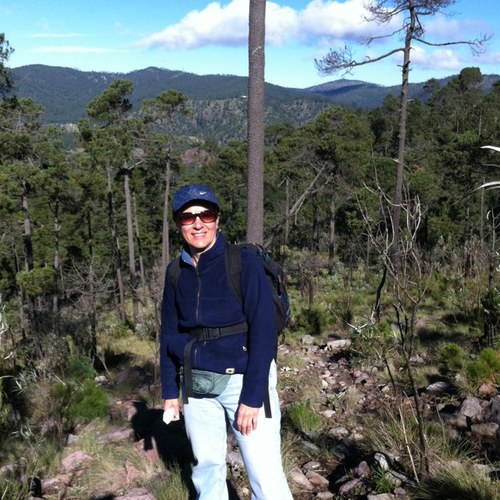 loliestrada1's profile picture. 