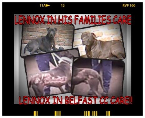 88cherrybomb88's profile picture. 