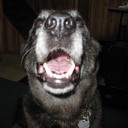 Amanda Schell - @Cajun_Schell - Twitter