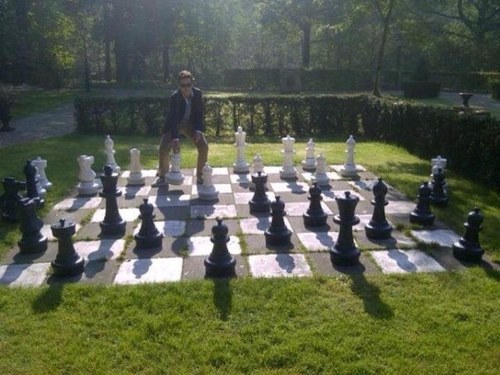 michielapplboom's profile picture. What doesn't kill you, makes you stronger.