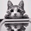 Marlene Sweeney - @marlene_2210 - Twitter