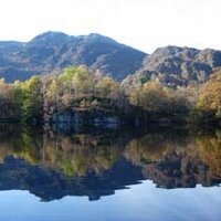 Susan Rhind (@smr_vmed) 's Twitter Profile