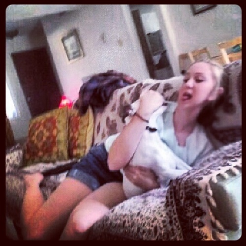 IsabelM14's profile picture. just an average frieendlyy gal lookin for some followers so pls follow me :] I give hugs3 oh and i follow back!