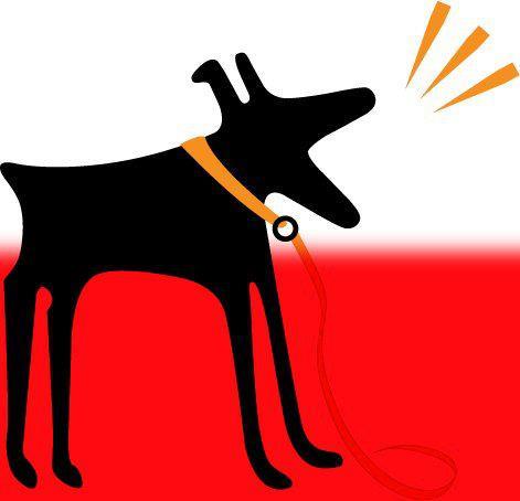 RuckusPolska's profile picture. Ruckus produkuje najbardziej niezawodne i najszybsze rozwiązania Wi-Fi na świecie!