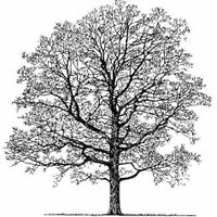 Brenton Arboretum (@brentontrees) 's Twitter Profile