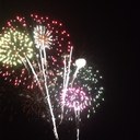 mary cotham - @deer75 - Twitter