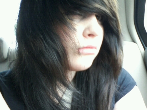Hai! Im MaddiiMayyhemm! I love Black Veil Brides, Blood On The Dance Floor, and EATMEWHILEIMHOT! cx I follow back by the way! ^-^