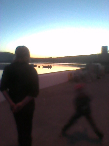 FreerangeDuck's profile picture. Artisan Duck Farm- South Kerry.Producing oven ready free range ducks and salmonella free duck eggs.DAFF registered duck egg producer. tweets very irregular!