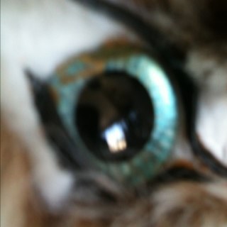 elisaou750's profile picture. Avant il y avait le Café du Commerce ....  Aujourd’hui il y a Twitter... Que du bonheur 🤔😳...ou pas ....🤣