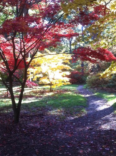 outdoor solutions since 2008 - we follow our followers!