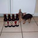 Erasmo Quezada - @ErasmoQuezada - Twitter