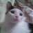 nora0904's profile image