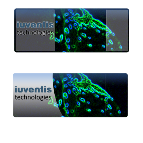 iuventis's profile picture. Iuventis Technologies is a Biotechnology firm focused on developing 3D tissue scaffolds for tissue and organ development.